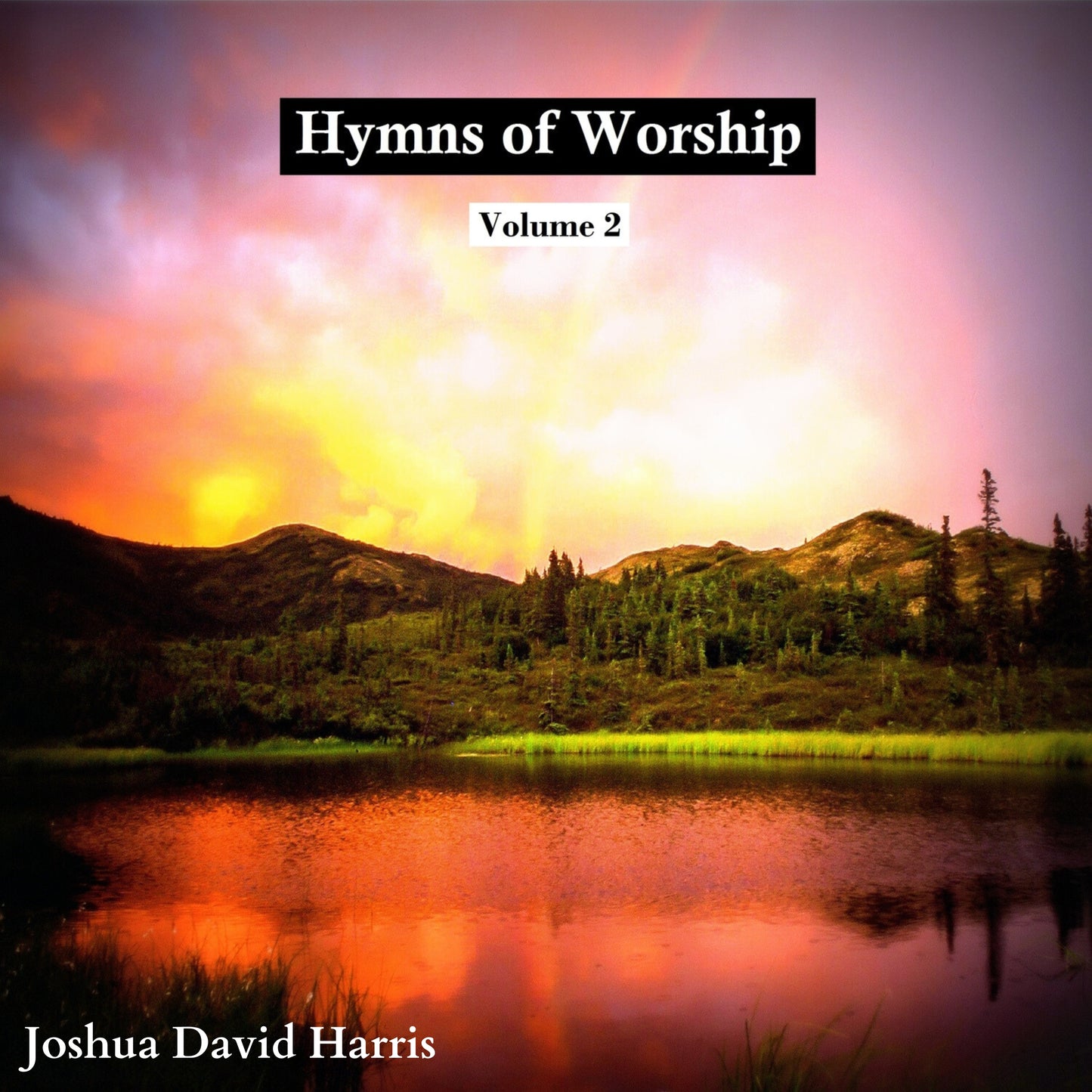 Hymns of Worship, Vol. 2 (CD in Jewel Case)