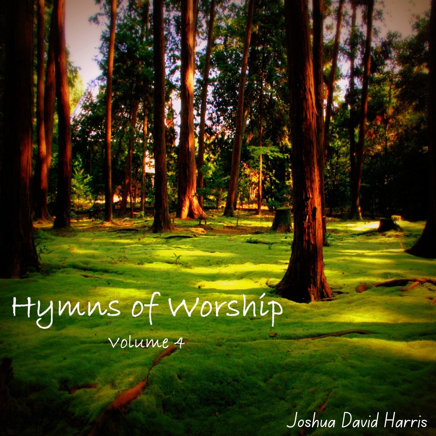 Hymns of Worship, Vol. 4 (CD in Jewel Case)