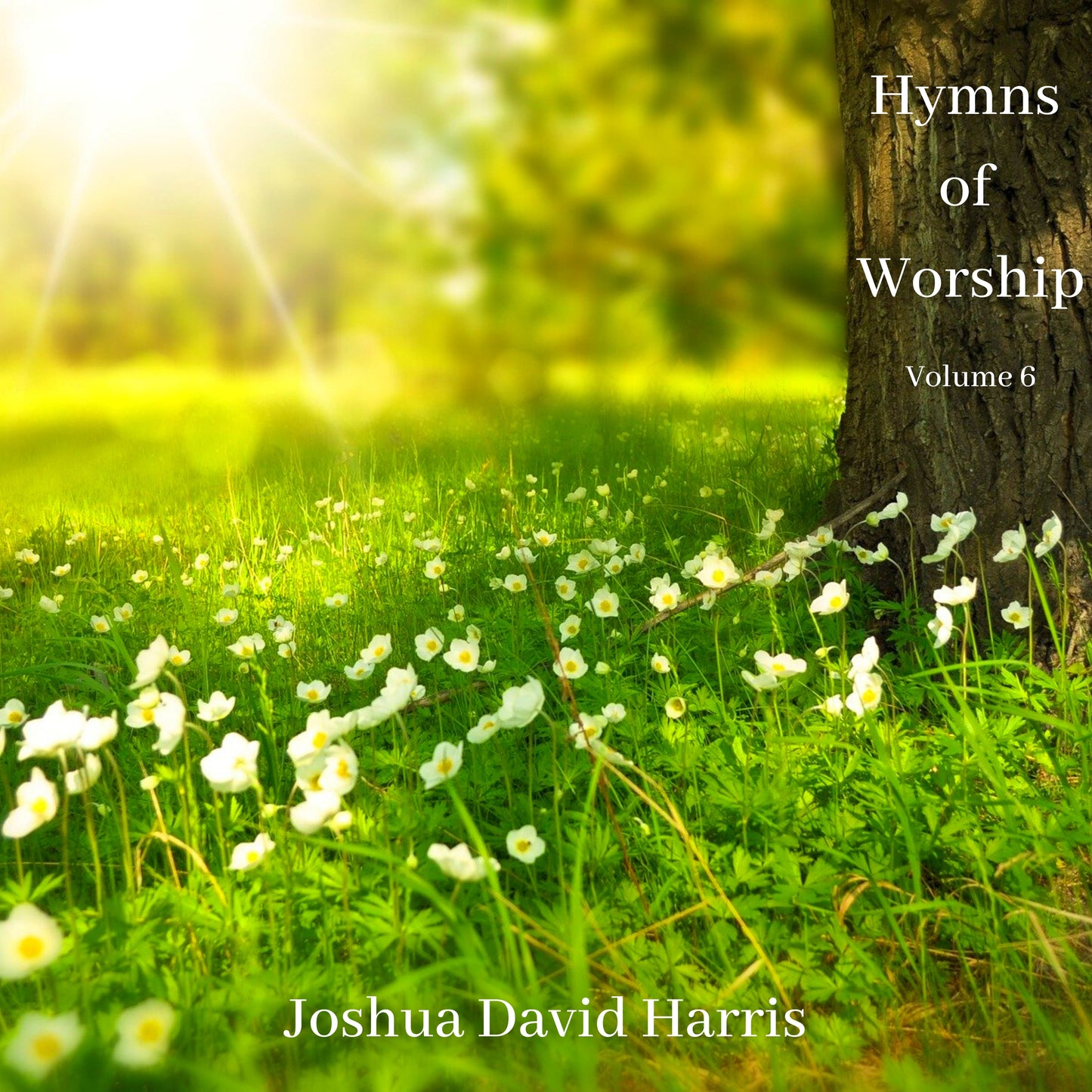 Hymns of Worship, Vol. 6 (CD in Jewel Case)