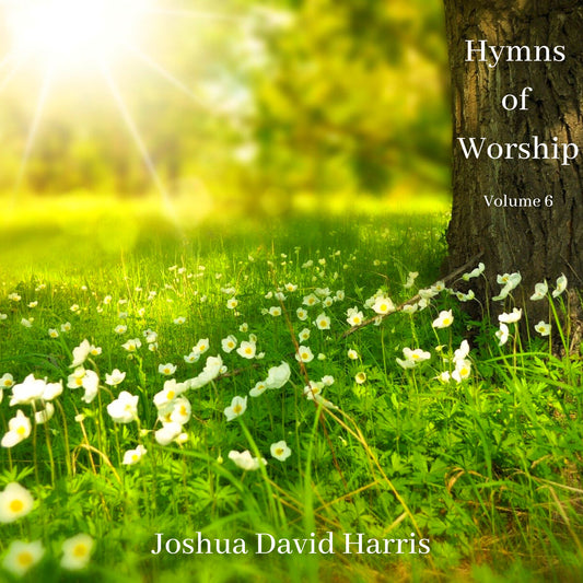 Hymns of Worship, Vol. 6 (CD in Jewel Case)